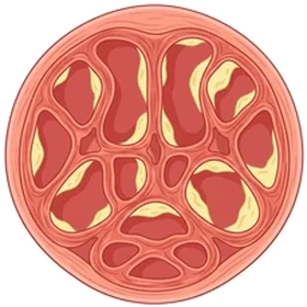 VigorJelly 06 Cycle 2